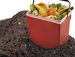 Compost, il terriccio dall'umido