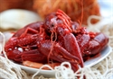 Crostacei