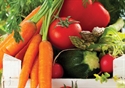 Tutto su vitamine e sali minerali
