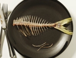 Inchiesta pesce allevato o pescato? Vi diciamo che pesci pigliare