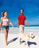 In vacanza con il cane