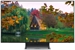 SAMSUNG QE48S95HAEXZT