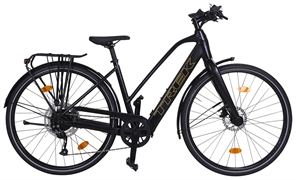 TREK FX+ 2 STAGGER