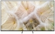 SAMSUNG MRE55R85HAUXZT