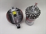 DYSON Cinetic Big Ball Absolute 2